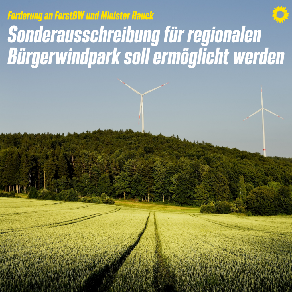 Symbolbild eines Windparks; Überschrift: Forderung an ForstBW und Minister Hauck. Sonderausschreibung für regionalen Bürgerwindpark soll ermöglicht werden